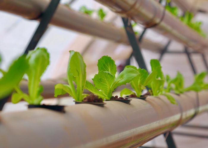 311660400_5621156251264037_596096563074298763_n