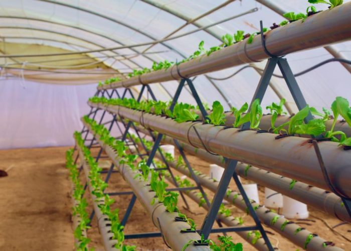 311695666_5621156467930682_6179337044474116890_n