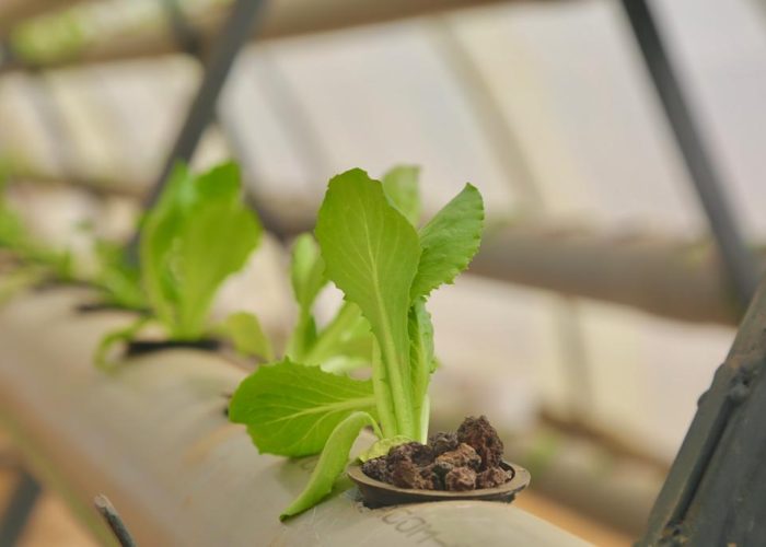 311776883_5621156481264014_6699624046043039000_n