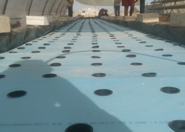 311973510_5621156984597297_5216549610233198221_n