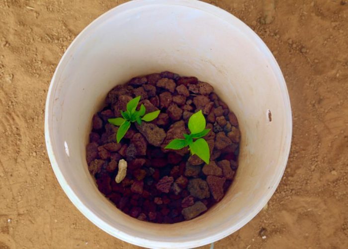 312085928_5621156244597371_6079949727927313081_n