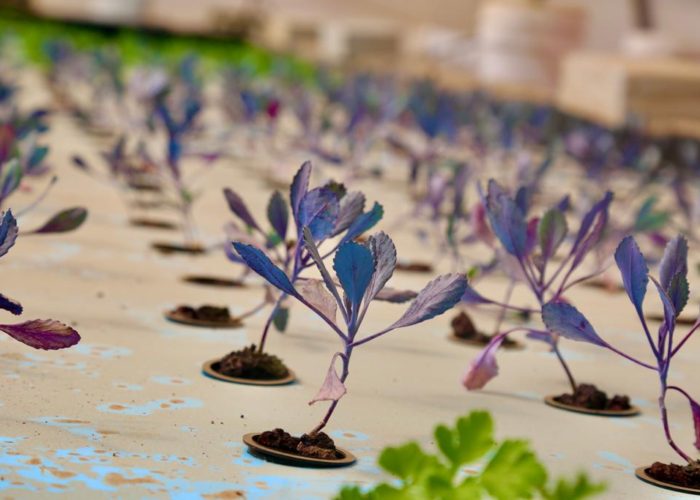 312088108_5621156451264017_6481725363262388772_n