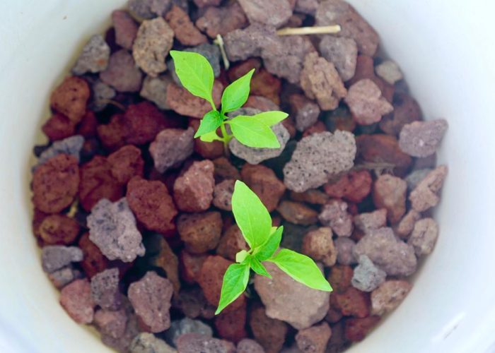 312243141_5621156257930703_1261401639244518239_n