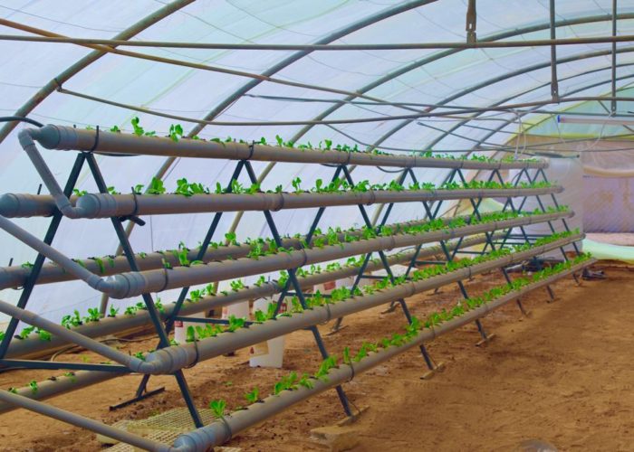 312252139_5621156524597343_7041820635023888422_n