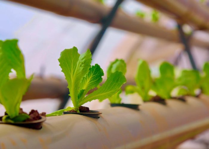 312498148_5621156484597347_572961231271095957_n