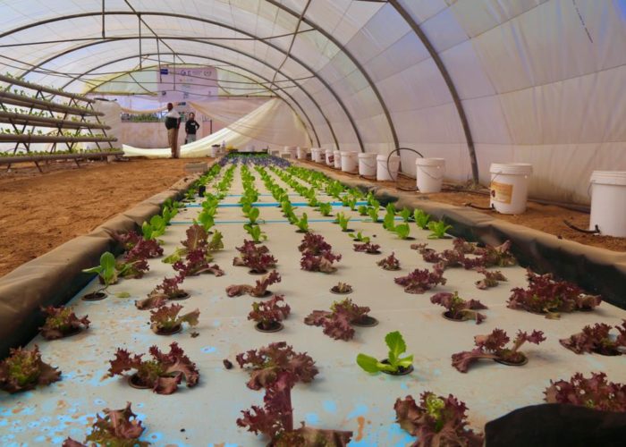 312586569_5621156601264002_1652409237921080252_n