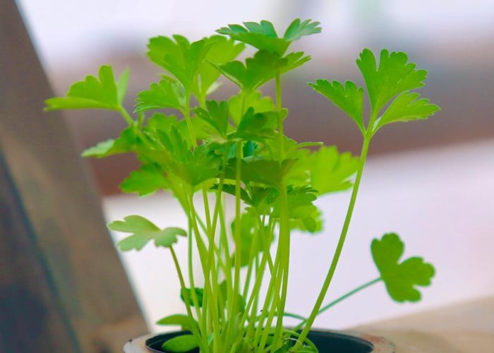 312636526_5621156247930704_5722797999713149223_n