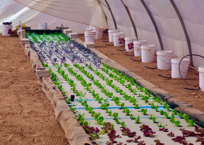 312911062_5621156721263990_6678909638877222877_n