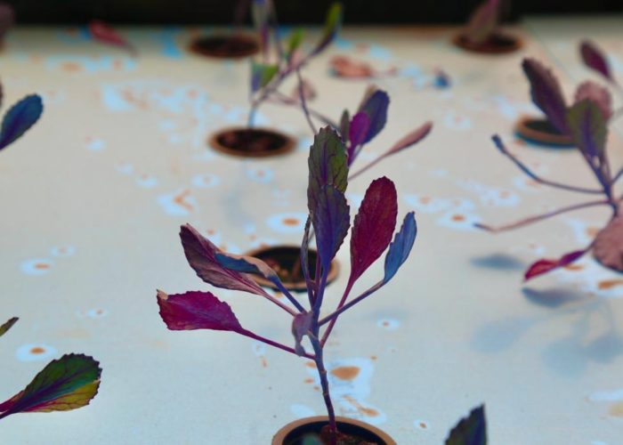 312920682_5621156254597370_8352384159800420219_n