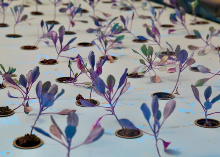 312983283_5621156271264035_5362660645577154531_n